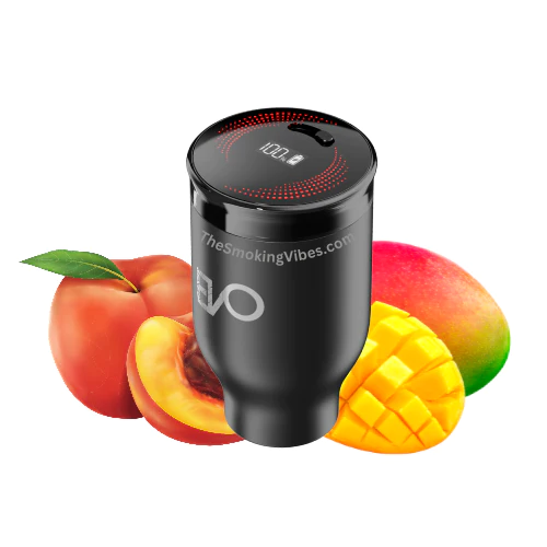 Evo Hookah Kit Pod + Battery 20ml 6ct Peach Mango