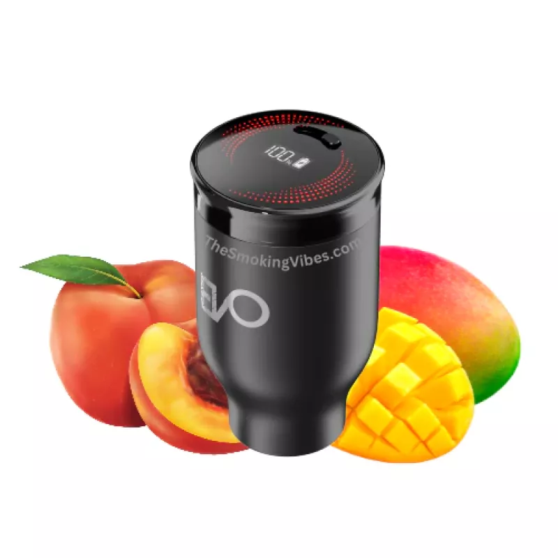 Evo Hookah Kit Pod + Battery 20ml 6ct Peach Mango