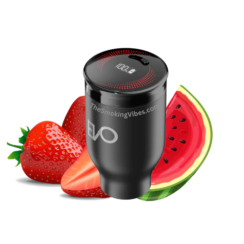 Evo Hookah Kit Pod + Battery 20ml 6ct Strawbery Watermelon